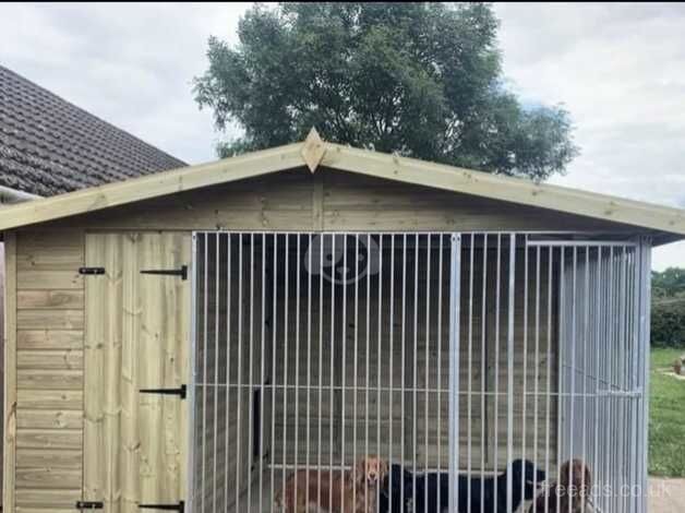 Dog kennel for sale in Worksop, Nottinghamshire